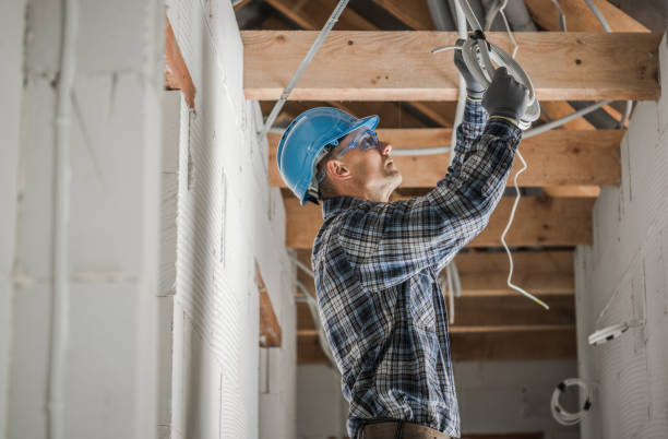 Best Electric Panel Repair  in Mount Pulaski, IL