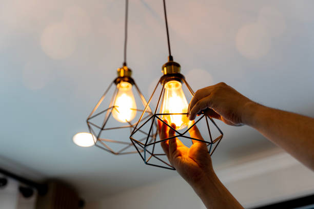 Best Home Electrical Repair  in Mount Pulaski, IL