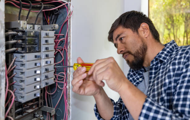 Best Electrical Troubleshooting Services  in Mount Pulaski, IL